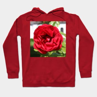 Red Rose Photo Hoodie